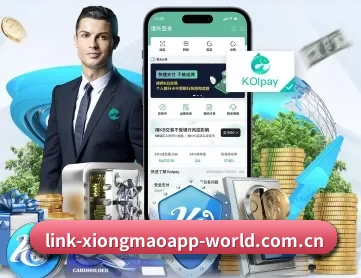 熊猫中国官网 APP 深度功能